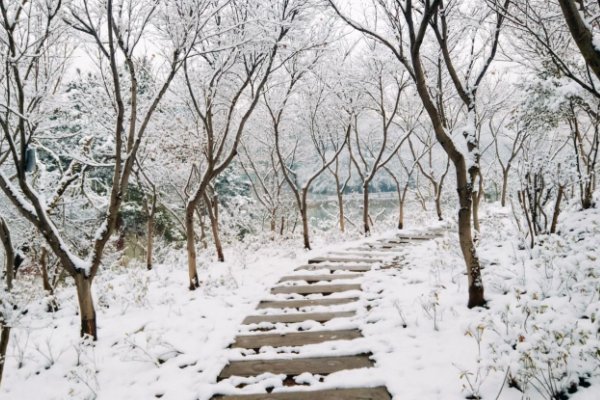 大雪纷飞怎么造句