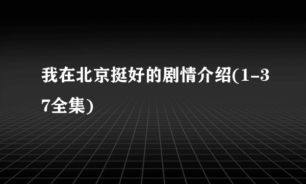 我在北京挺好的剧情介绍(1-37全集)