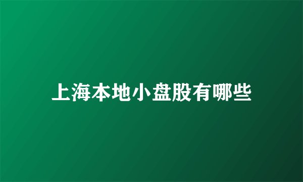 上海本地小盘股有哪些