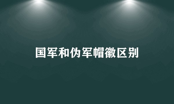 国军和伪军帽徽区别
