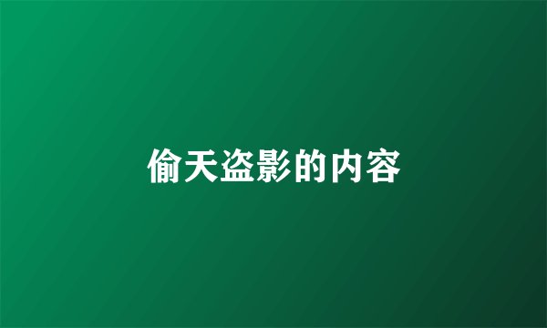 偷天盗影的内容