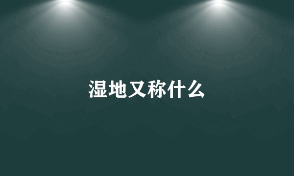 湿地又称什么