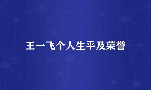 王一飞个人生平及荣誉