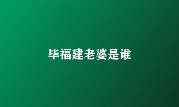 毕福建老婆是谁