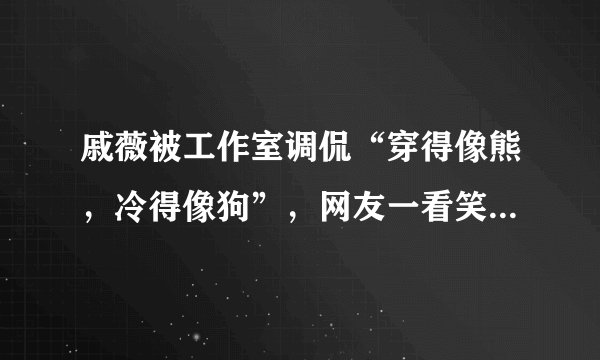 戚薇被工作室调侃“穿得像熊，冷得像狗”，网友一看笑了：真形象