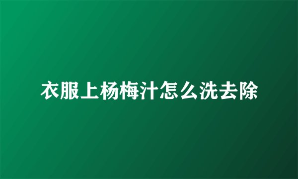 衣服上杨梅汁怎么洗去除