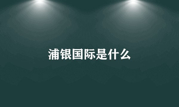 浦银国际是什么