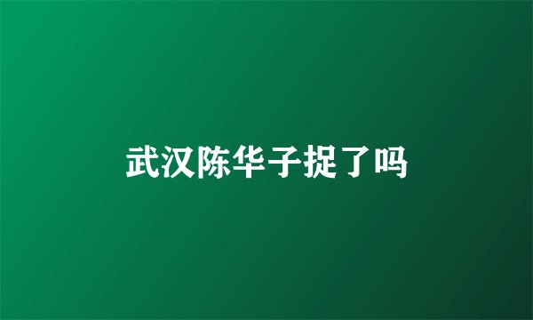 武汉陈华子捉了吗