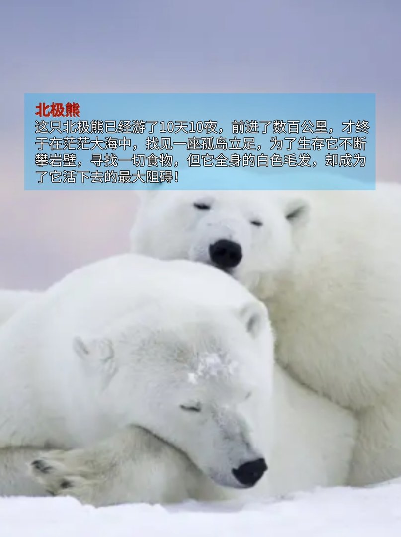 第一名已经名存实亡,最稀有动物排行榜