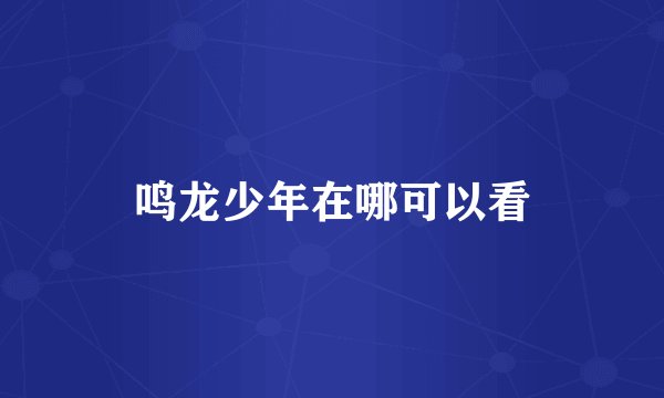 鸣龙少年在哪可以看