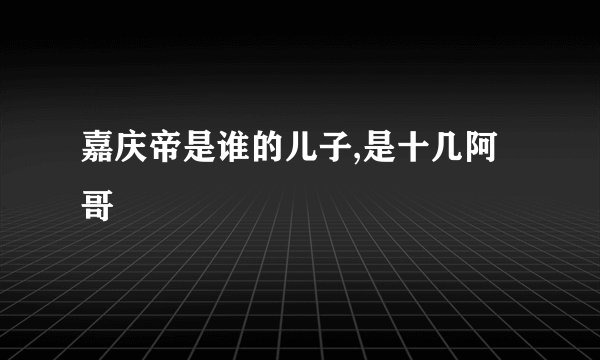 嘉庆帝是谁的儿子,是十几阿哥