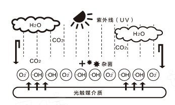 宜家沙发太单调?花500块给沙发整个容
