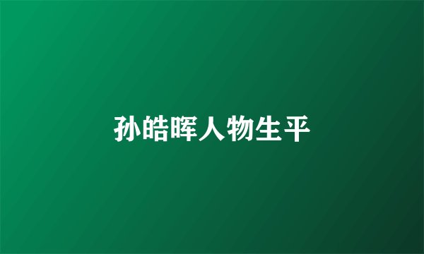 孙皓晖人物生平