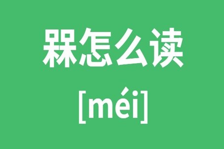 mei的汉字