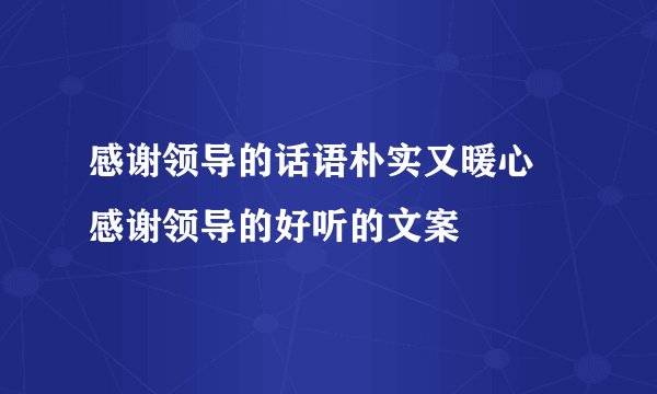 感谢领导的话语朴实又暖心 感谢领导的好听的文案