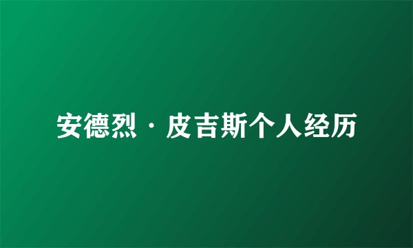 安德烈·皮吉斯个人经历