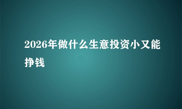 2026年做什么生意投资小又能挣钱
