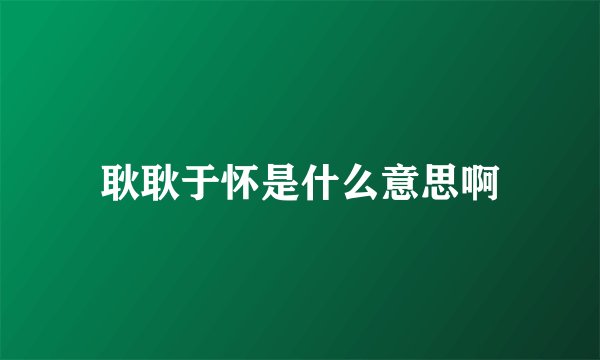 耿耿于怀是什么意思啊