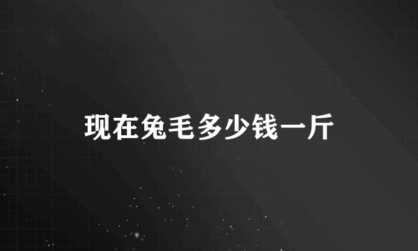 现在兔毛多少钱一斤