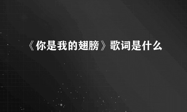 《你是我的翅膀》歌词是什么