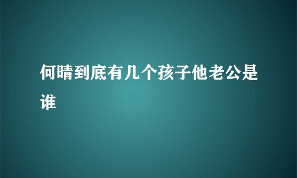何晴到底有几个孩子他老公是谁