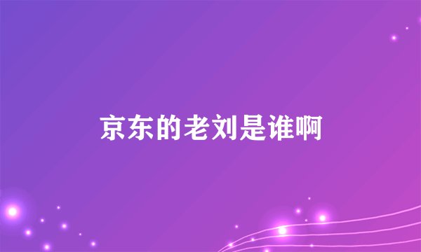 京东的老刘是谁啊