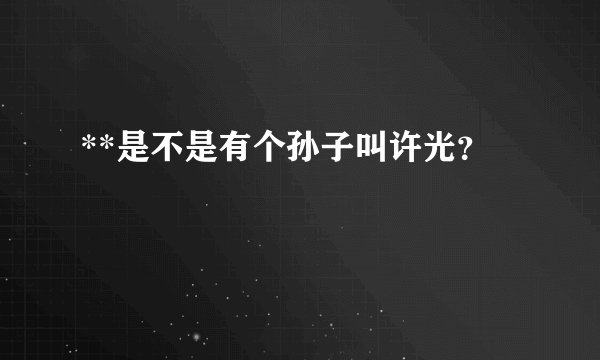 **是不是有个孙子叫许光？