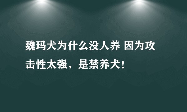 魏玛犬为什么没人养 因为攻击性太强，是禁养犬！
