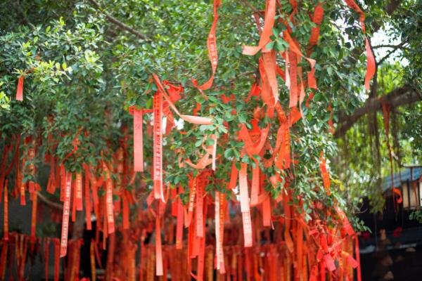 姻缘什么意思