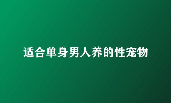 适合单身男人养的性宠物