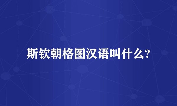 斯钦朝格图汉语叫什么?