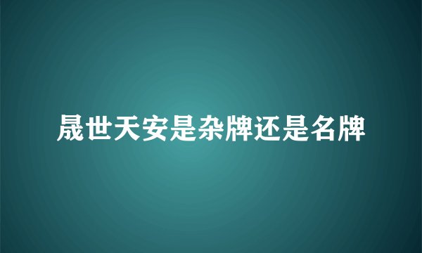 晟世天安是杂牌还是名牌