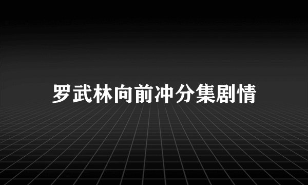 罗武林向前冲分集剧情