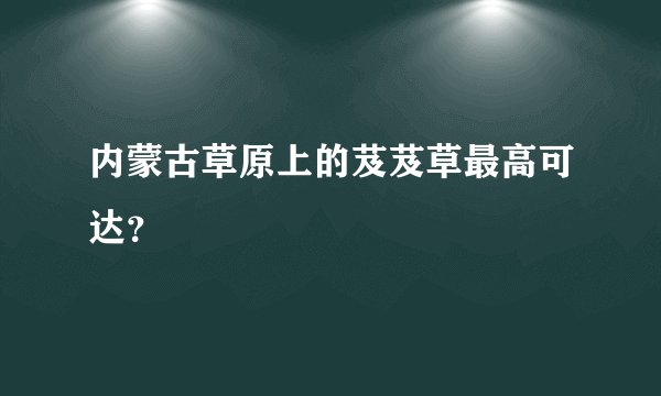 内蒙古草原上的芨芨草最高可达?