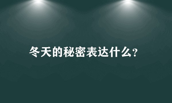 冬天的秘密表达什么？