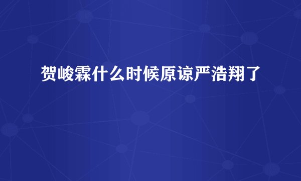 贺峻霖什么时候原谅严浩翔了
