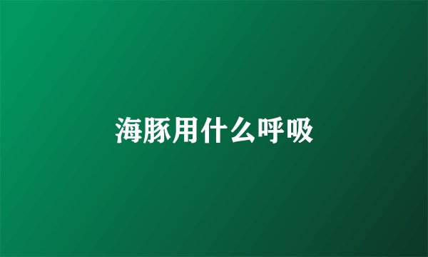 海豚用什么呼吸