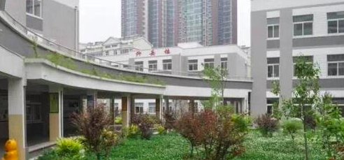 泰安小学排名前十