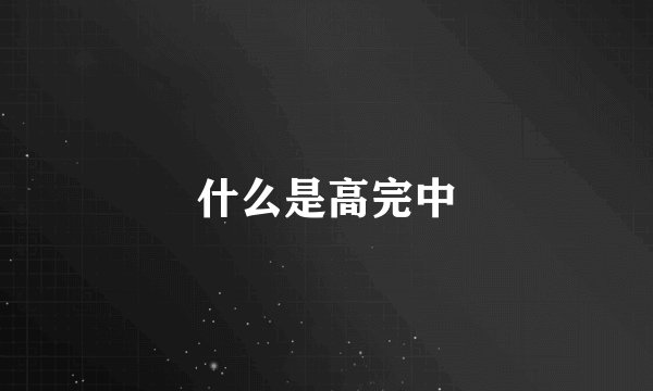 什么是高完中