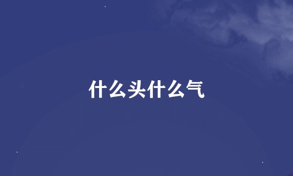 什么头什么气