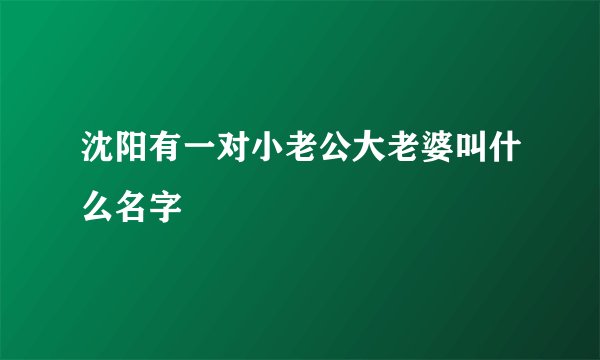 沈阳有一对小老公大老婆叫什么名字