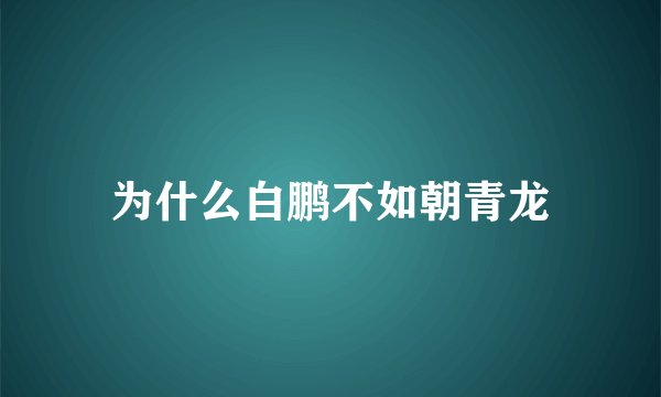 为什么白鹏不如朝青龙