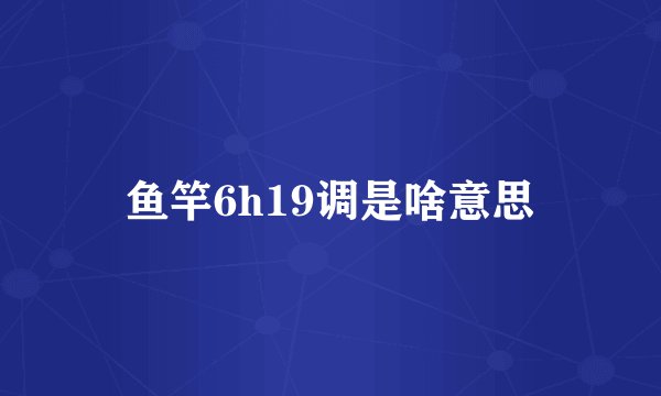 鱼竿6h19调是啥意思