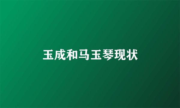 玉成和马玉琴现状