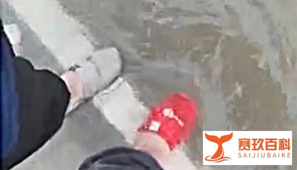 郑州遇难者名单公布,逝者遗言令人泪目,请珍惜与家人的时光