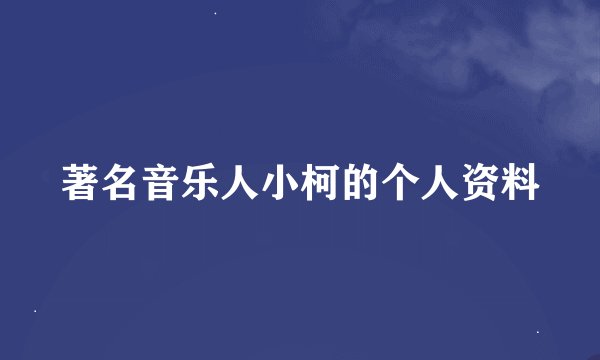 著名音乐人小柯的个人资料