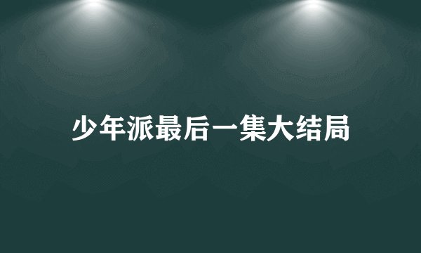 少年派最后一集大结局