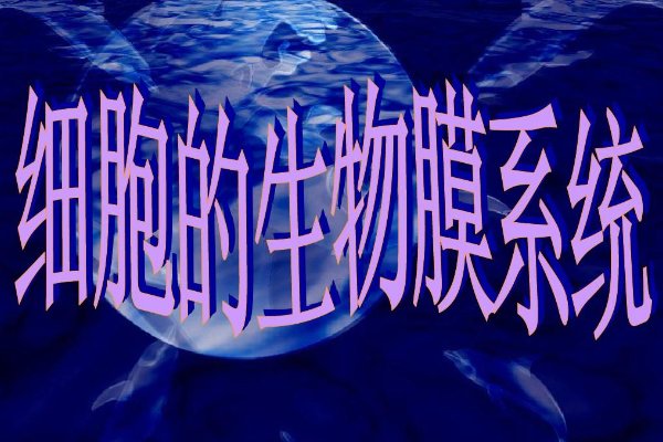 IMSB是什么意思?
