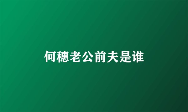 何穗老公前夫是谁