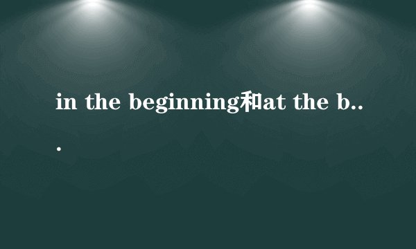 in the beginning和at the beginning的区别